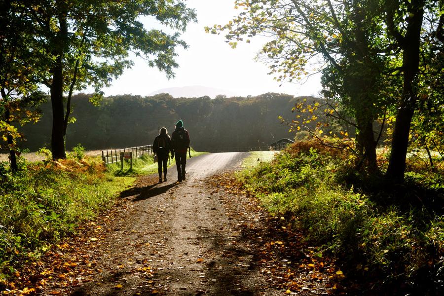 两个Agnes Scott的留学生走在爱尔兰一条阳光明媚的小路上.